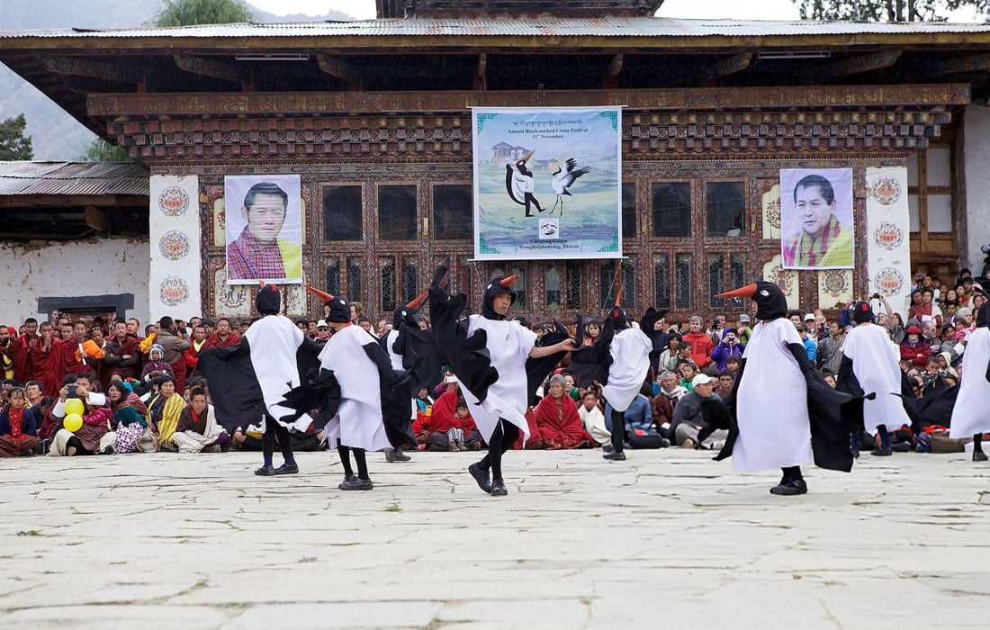 How to see black-necked cranes festival in Bhutan