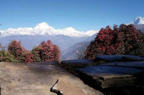 qUYghorepani-poon-hill-trek-review