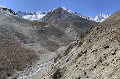 Mustang Teri La Pass 