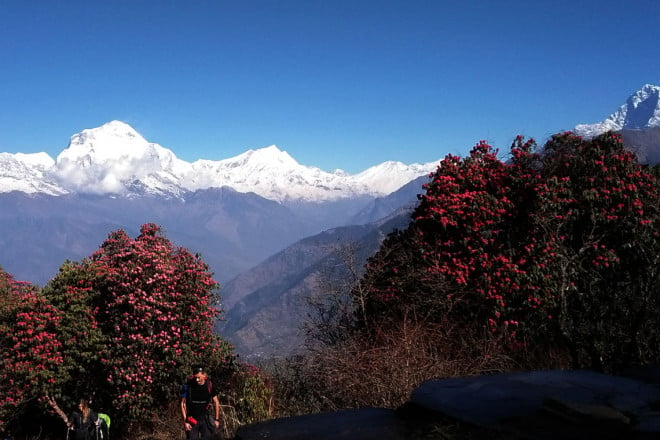 Nepal Trek and Bhutan Cultural Tour